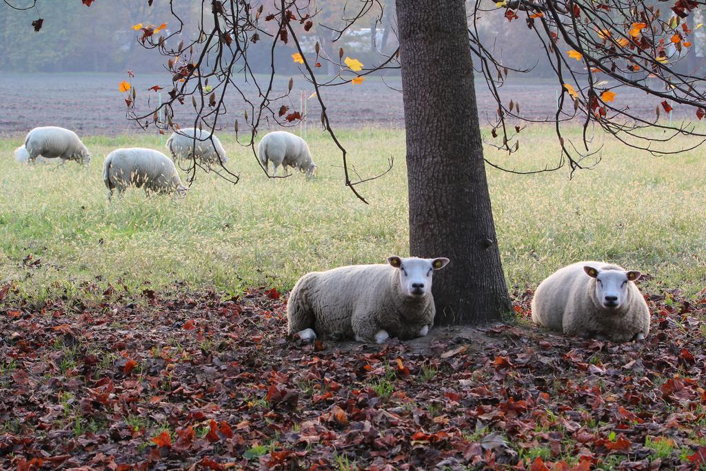 Agriturismo Il Torrione Pinerolo ภายนอก รูปภาพ