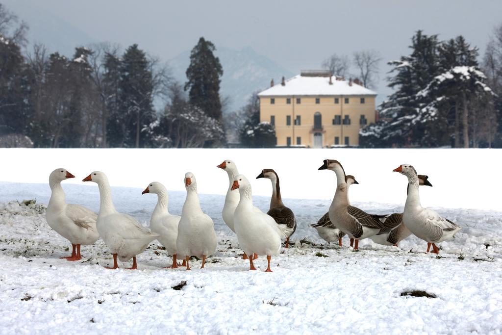 Agriturismo Il Torrione Pinerolo ภายนอก รูปภาพ