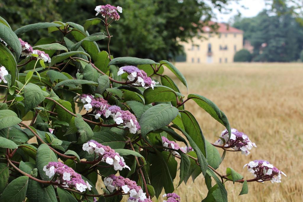 Agriturismo Il Torrione Pinerolo ภายนอก รูปภาพ