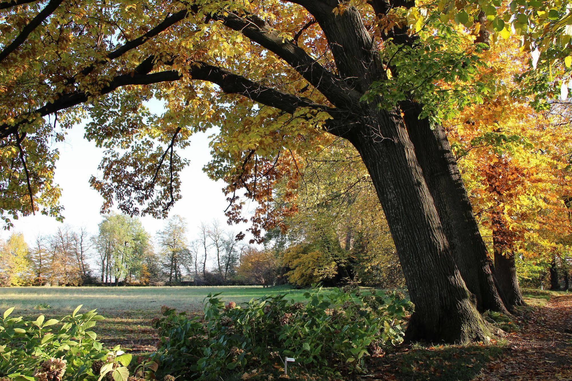 Agriturismo Il Torrione Pinerolo ภายนอก รูปภาพ